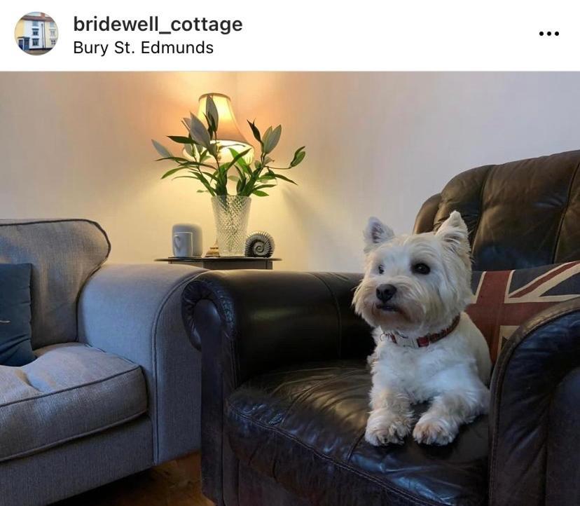 Sweet & Cosy 10 Bridewell Cottage With Parking Available Upon Request Bury St. Edmunds Екстер'єр фото